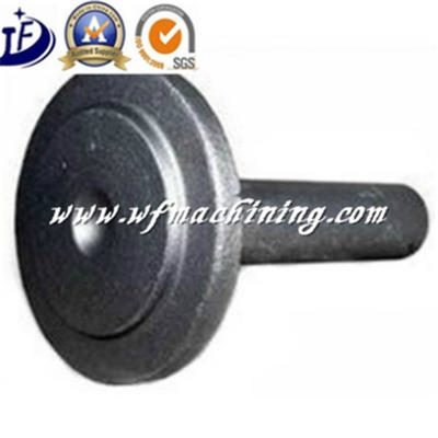 OEM Wrought Metal Iron Steel Forged Part of Stainless Steel